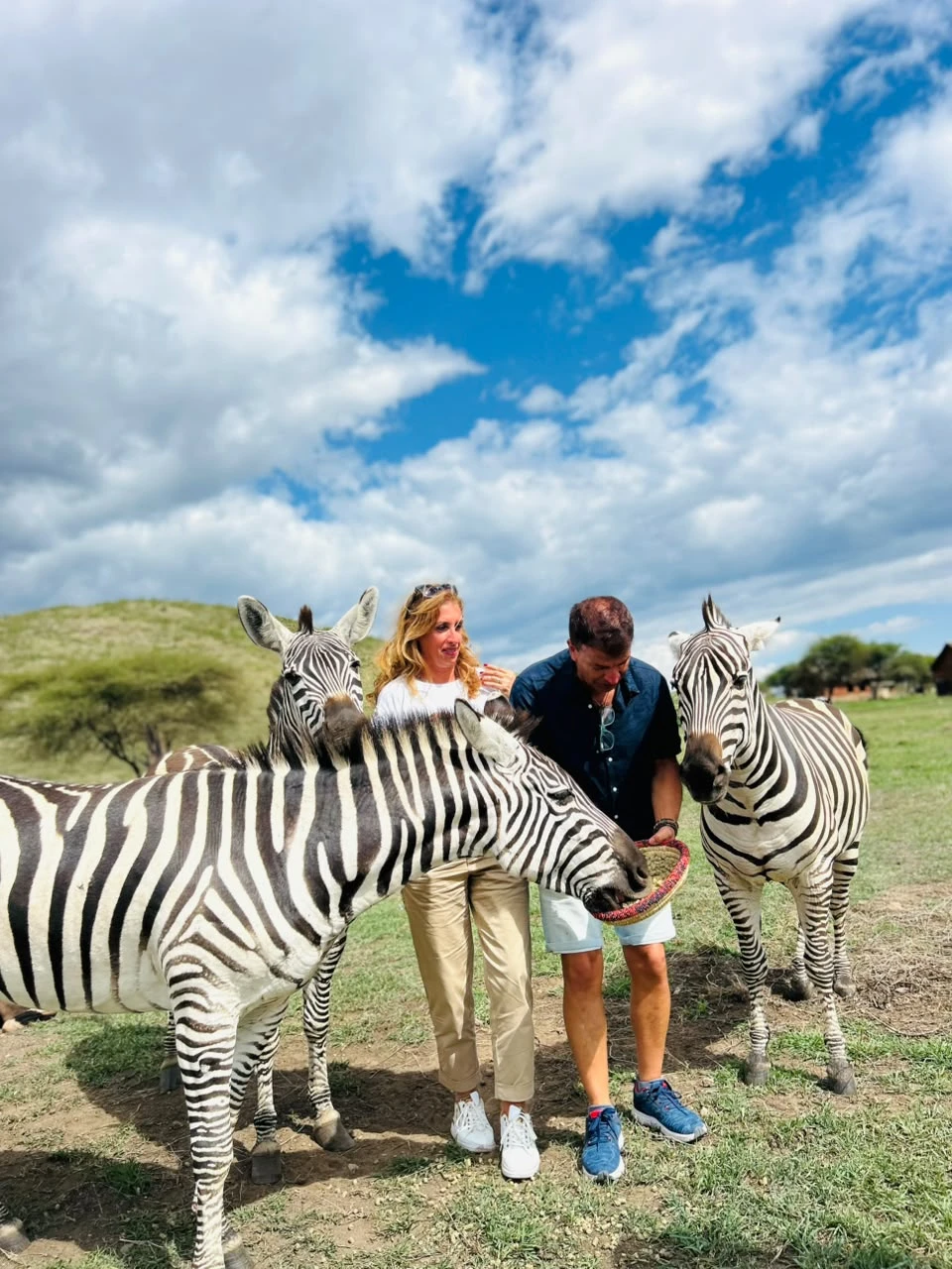  Private Serval Wildlife Sanctuary Experience