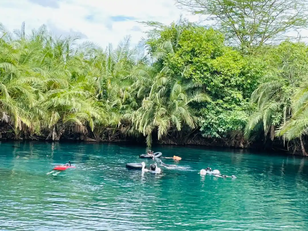 Best chemka hotsprings experience(Kikuletwa Natural Oasis, Swimming & Relaxation Experience