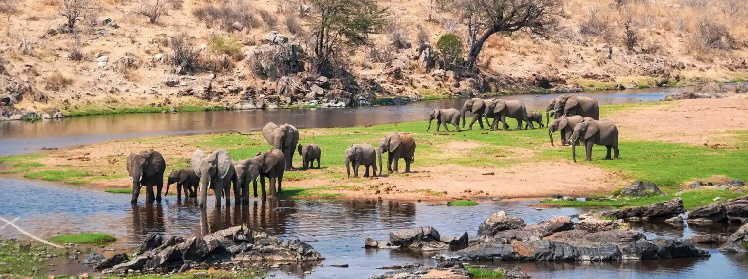 1-Day Tarangire National Park Safari