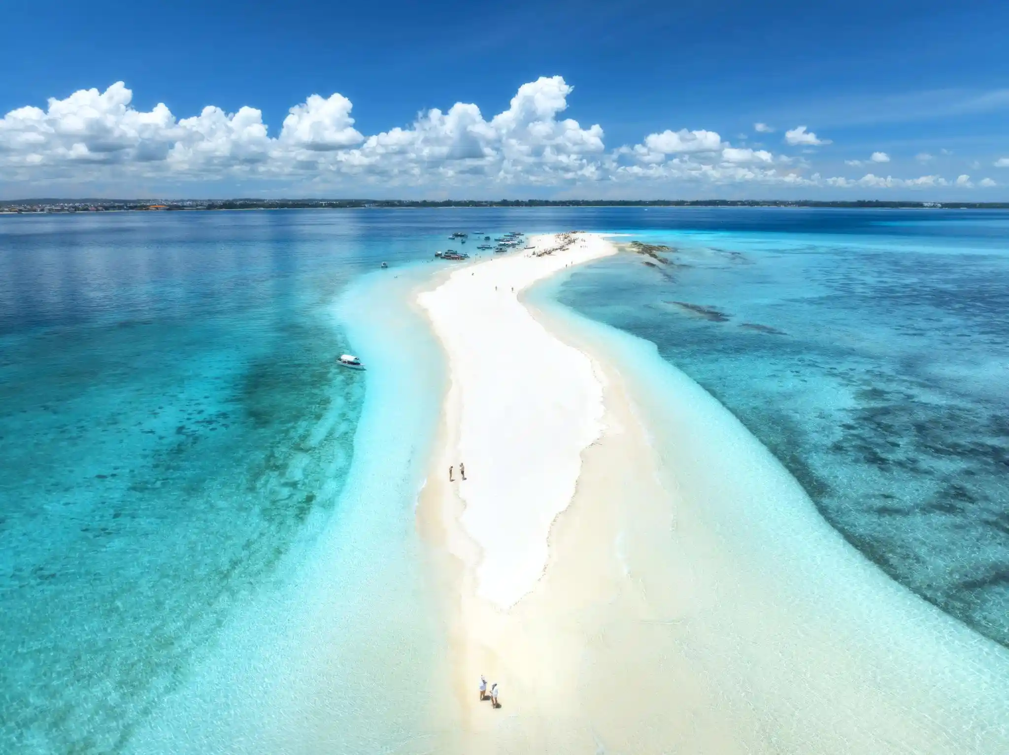 Full-day island adventure from Stone Town, combining the historical and natural attractions of Prison Island.