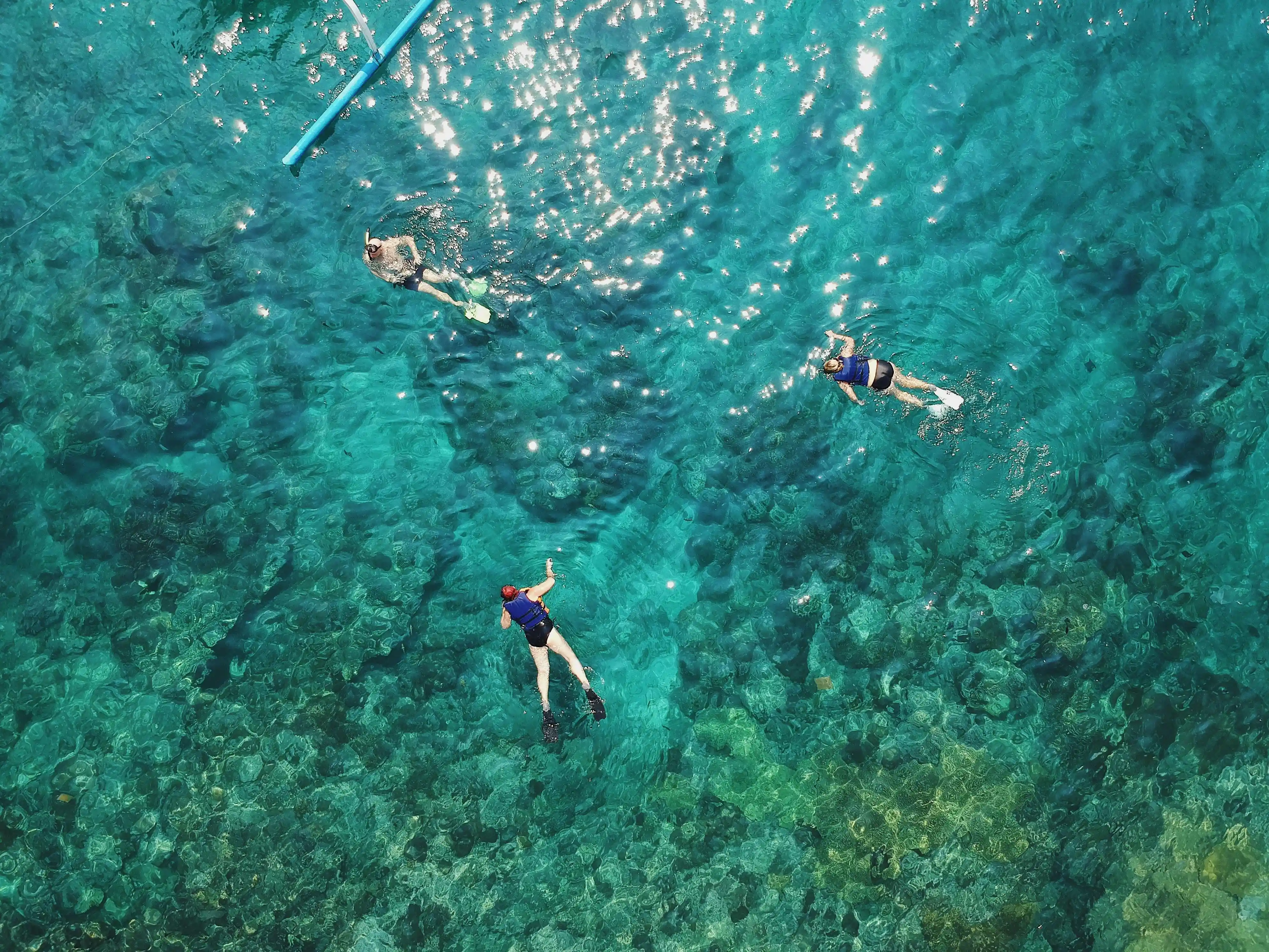 Full-day island adventure from Stone Town, combining the historical and natural attractions of Prison Island.