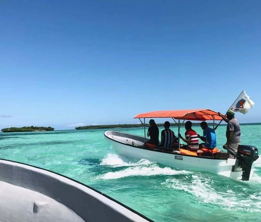  Dolphin watching and snorkeling around Mnemba Atoll.